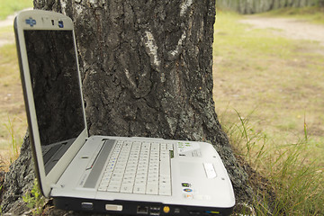 Image showing A girl and a computer