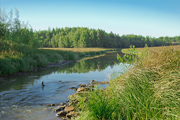 Image showing Morning on the River.