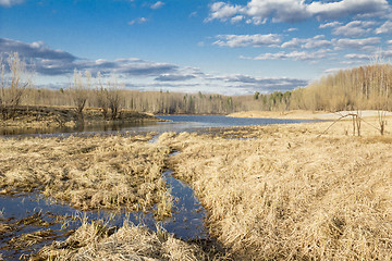 Image showing Forest River