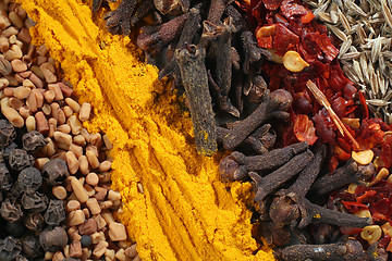 Image showing Abstract curry spices