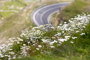 Image showing Alpine highway