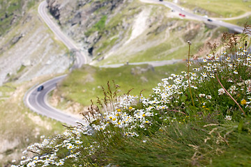 Image showing mountain road with camomiles foreground