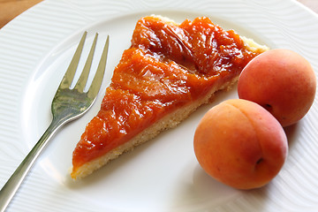 Image showing Apricot tart