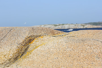 Image showing Seaside