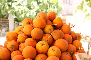 Image showing Pile of Oranges