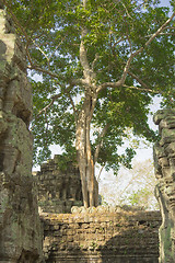 Image showing Cambodia.Angkor Wat.