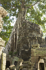 Image showing Cambodia.Angkor Wat.