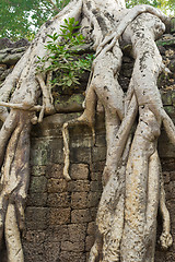 Image showing Cambodia.Angkor Wat.