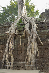 Image showing Cambodia.Angkor Wat.