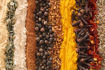 Image showing Curry spices