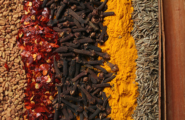 Image showing Curry spices 2