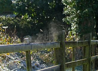 Image showing Fence Steaming in Frosty Weather