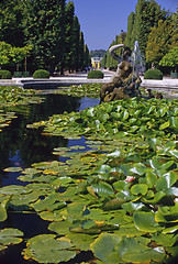 Image showing Palace Schonbrunn, Vienna