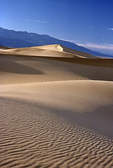 Image showing Sand Dunes