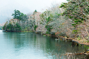 Image showing Lake in forest