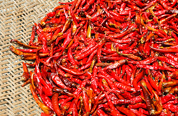 Image showing Red Chili peppers on basket