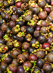 Image showing Mangosteen