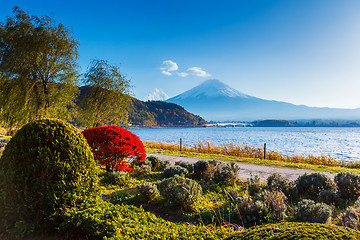 Image showing Mt. Fuji in autumn