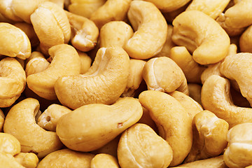 Image showing Fresh cashew nuts close up