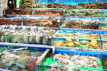 Image showing Seafood market fish tank in Hong Kong