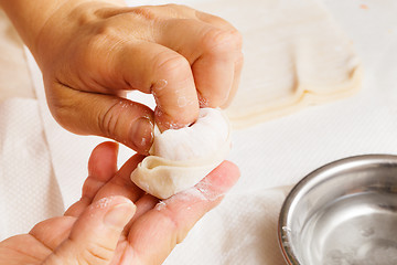 Image showing Making of Chinese dumpling