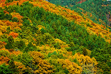 Image showing Autumn mountain