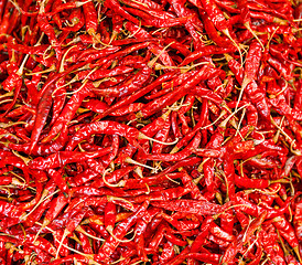 Image showing Red Chili peppers