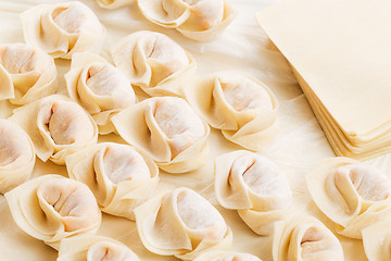 Image showing Homemade chinese dumpling