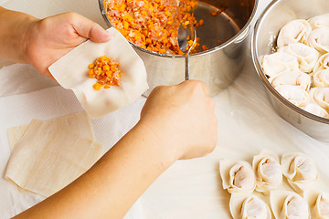 Image showing Wrapping of Chinese dumpling