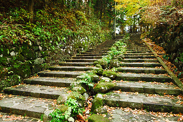 Image showing Pathway through the autumn forest