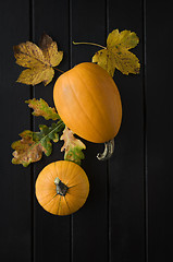 Image showing Pumpkin