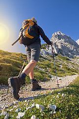 Image showing Hiking