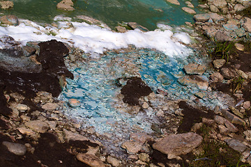 Image showing Algae polluted water (  green scum)