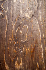 Image showing wood texture 5