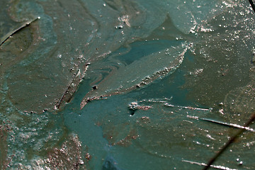 Image showing Algae polluted water (  green scum)