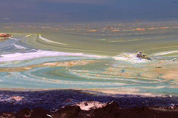 Image showing Algae polluted water (  green scum)