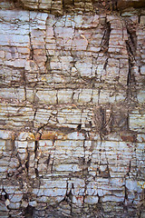 Image showing Devonian limestone