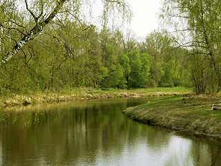 Image showing Spring landscape