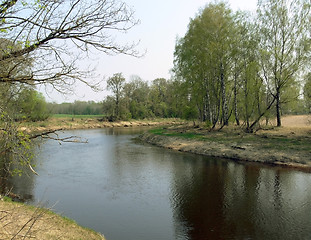 Image showing Spring scene