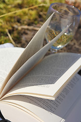 Image showing Book and Wine