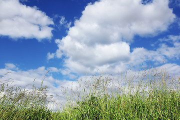 Image showing Blue Sky