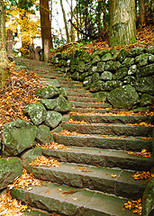 Image showing Pathway through the autumn forest