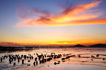 Image showing Sunset coast