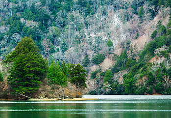 Image showing Lake in forest