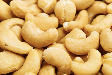 Image showing Fresh cashew nuts close up