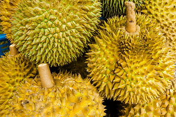 Image showing Group of durian