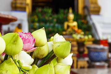 Image showing Lotus bud in thailand temple