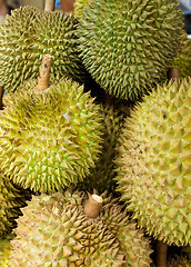Image showing Durian