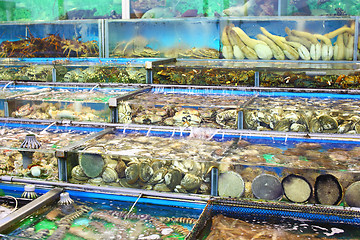 Image showing Fish tank in market at Hong Kong