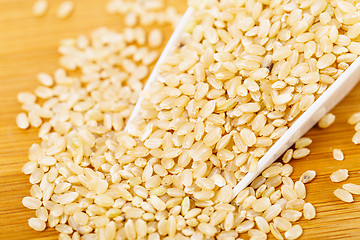 Image showing Brown rice